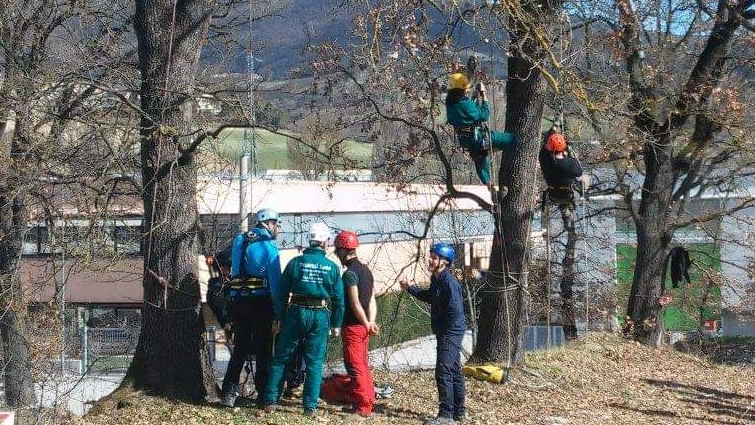CORSO TREE CLIMBING E CORSO FUNI ARTIFICIALE
